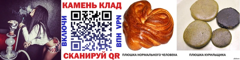Гашиш Изолятор Саки
