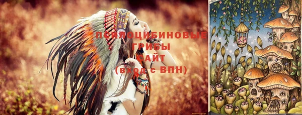 spice Костерёво