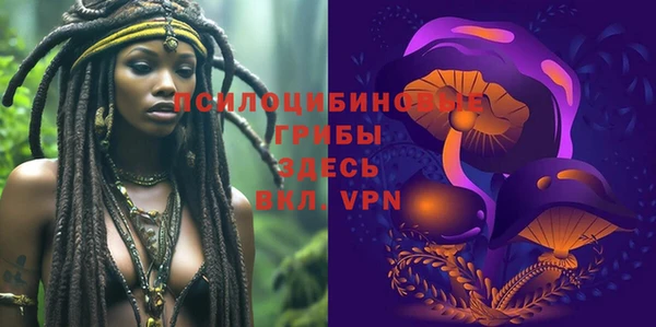 spice Костерёво