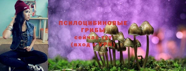 таблы Корсаков