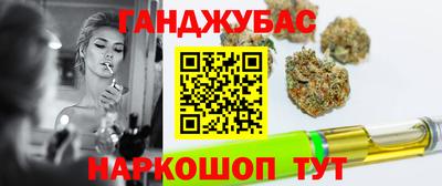 гашик Аргун