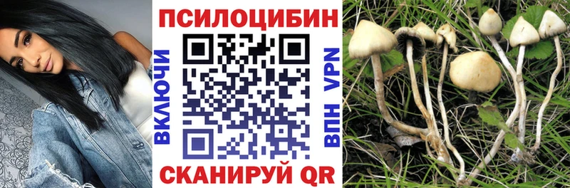 Псилоцибиновые грибы мухоморы  блэк спрут вход  Саки 