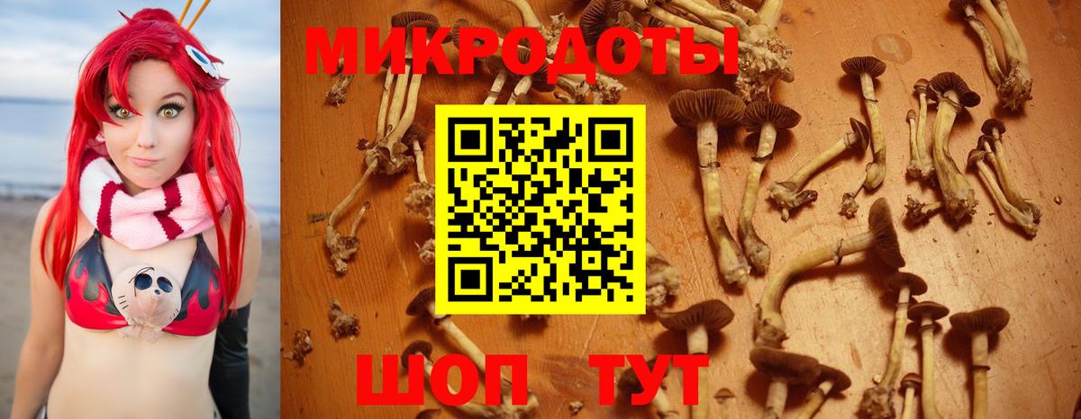 Галлюциногенные грибы Cubensis  Псилоцибиновые грибы прущие грибы  Саки 