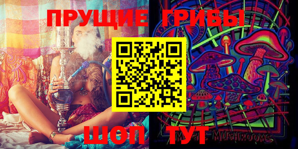 Псилоцибиновые грибы Cubensis Саки