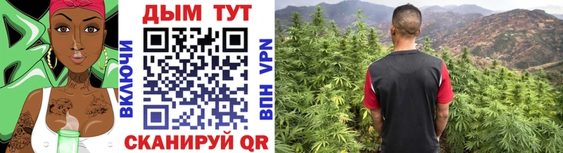 где купить наркоту Саки Каннабис планчик