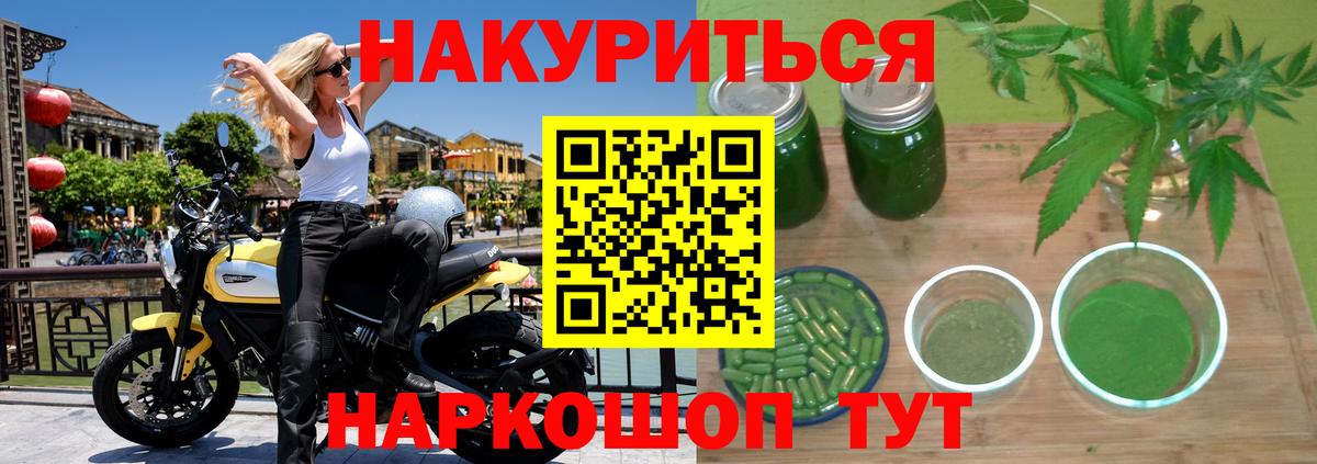 Канабис семена  Канабис Ganja  Саки  Конопля THC 21% 